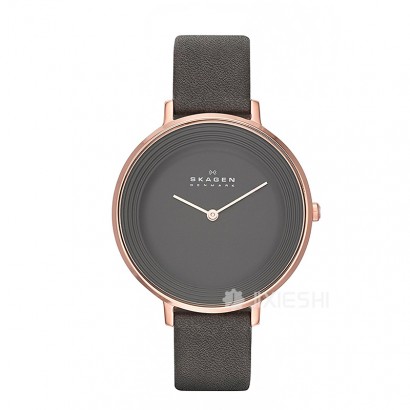 SKAGEN DENMARK Ԋ(sh)ŮʿSKW2216 Ȿ...