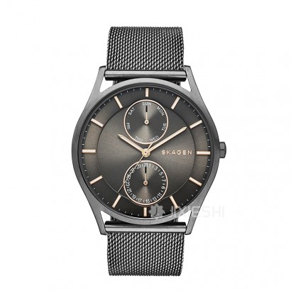 SKAGEN DENMARK ԊʯӢʿֱSKW6180 ...