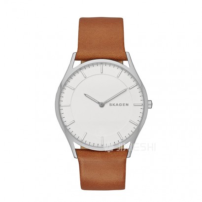 SKAGEN DENMARK ԊʯӢʿֱSKW6219 ...