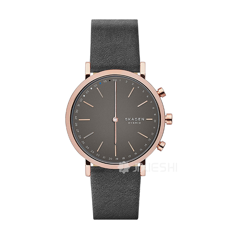 SKAGEN DENMARK ԊʯӢŮʿֱSKT1207 ...