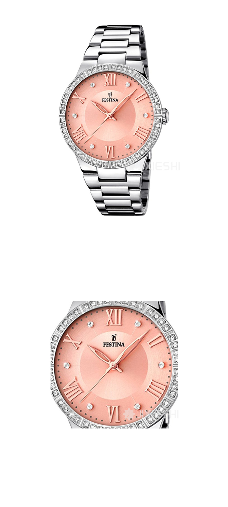 FESTINA ʿwʿŮʿֱF16719-3 Ȿԭ