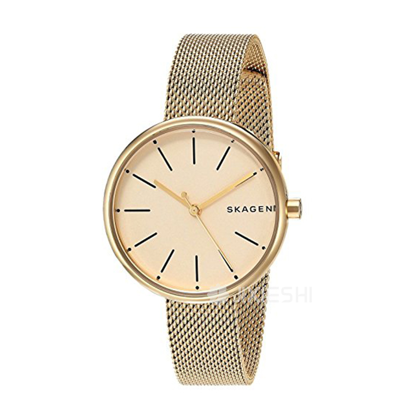 SKAGEN DENMARK ԊʯӢŮʿֱSKW2614 Ȿԭ