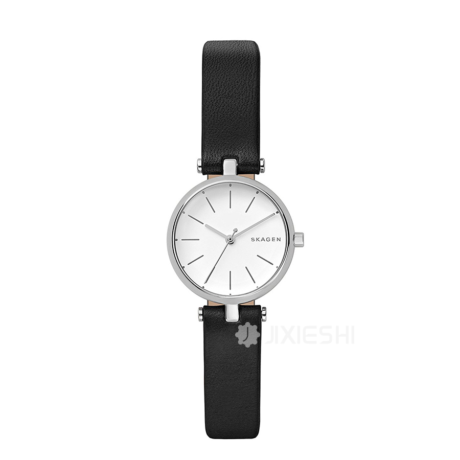 SKAGEN DENMARK ԊʯӢŮʿֱSKW2639 Ȿԭ